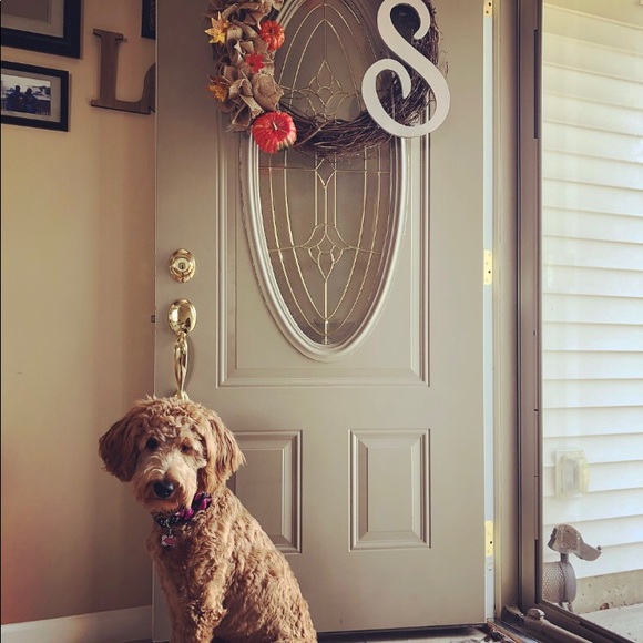 *[welcome]* - Picture 8 of 8